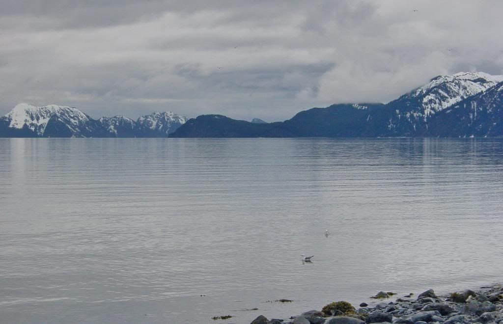 2004-04-2917-23-16_resize.jpg