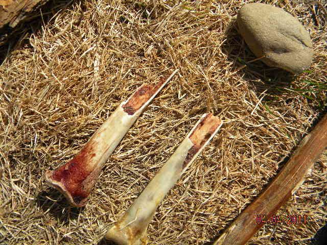 DSCN3577.jpg