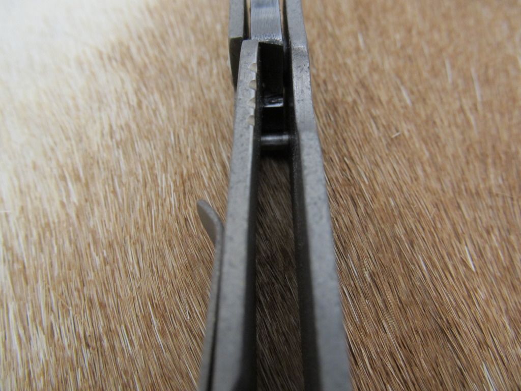 TiFramelock006.jpg