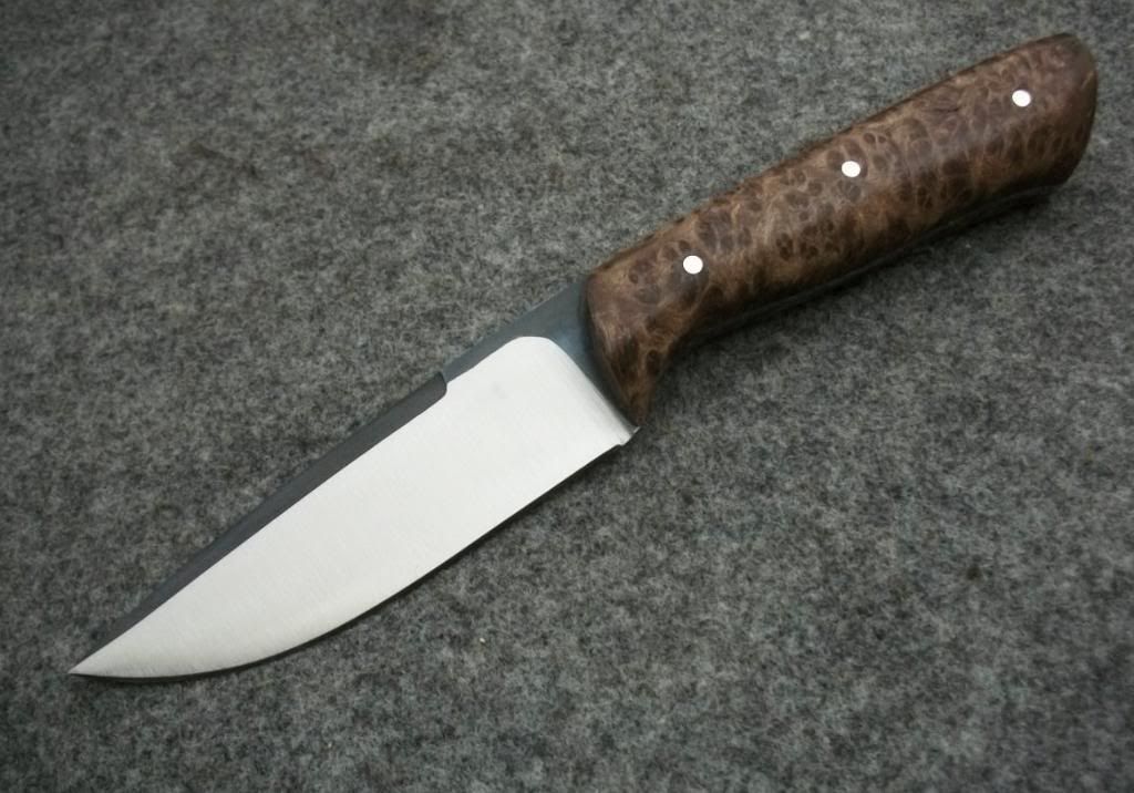 REDWOOD014.jpg