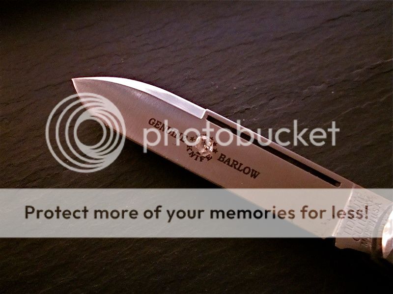 IMG_2858a.jpg~original