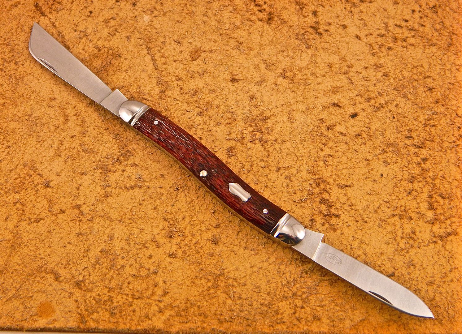 DSCN2144_zpsogptbmus.jpg