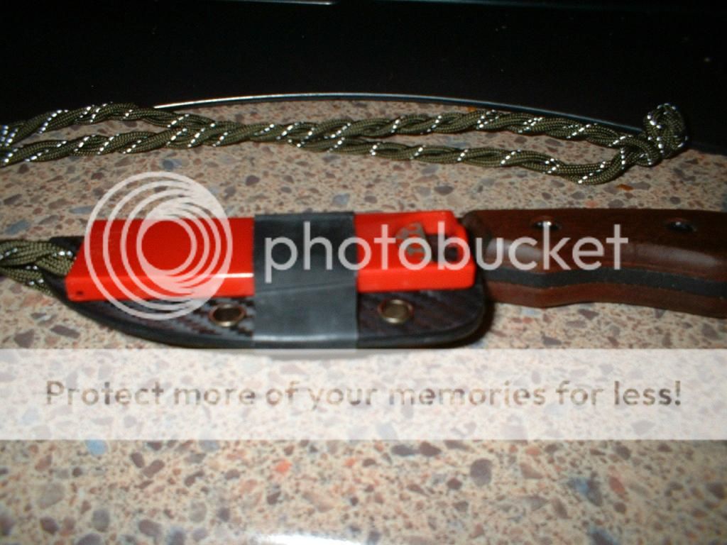 DSCF0024_zpse34e32a8.jpg