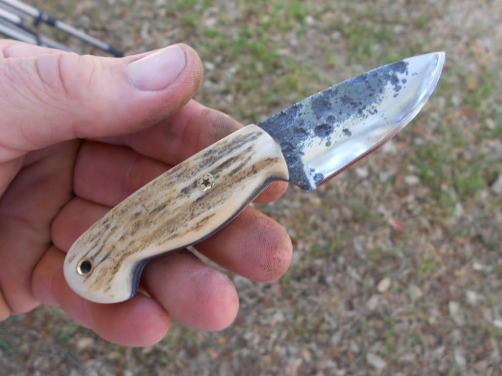 2minimiserywhip023.jpg