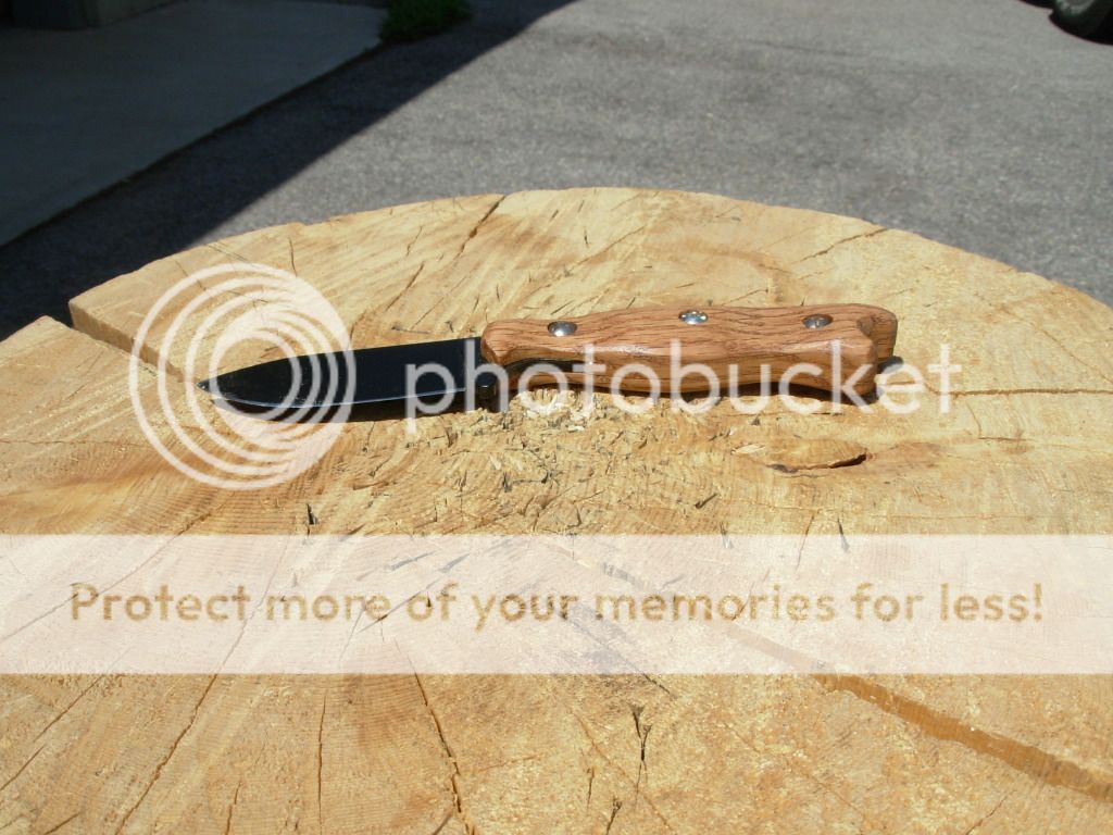 DSCN1057.jpg