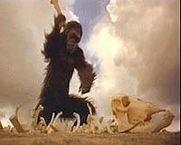 2001-ape-bones.jpg