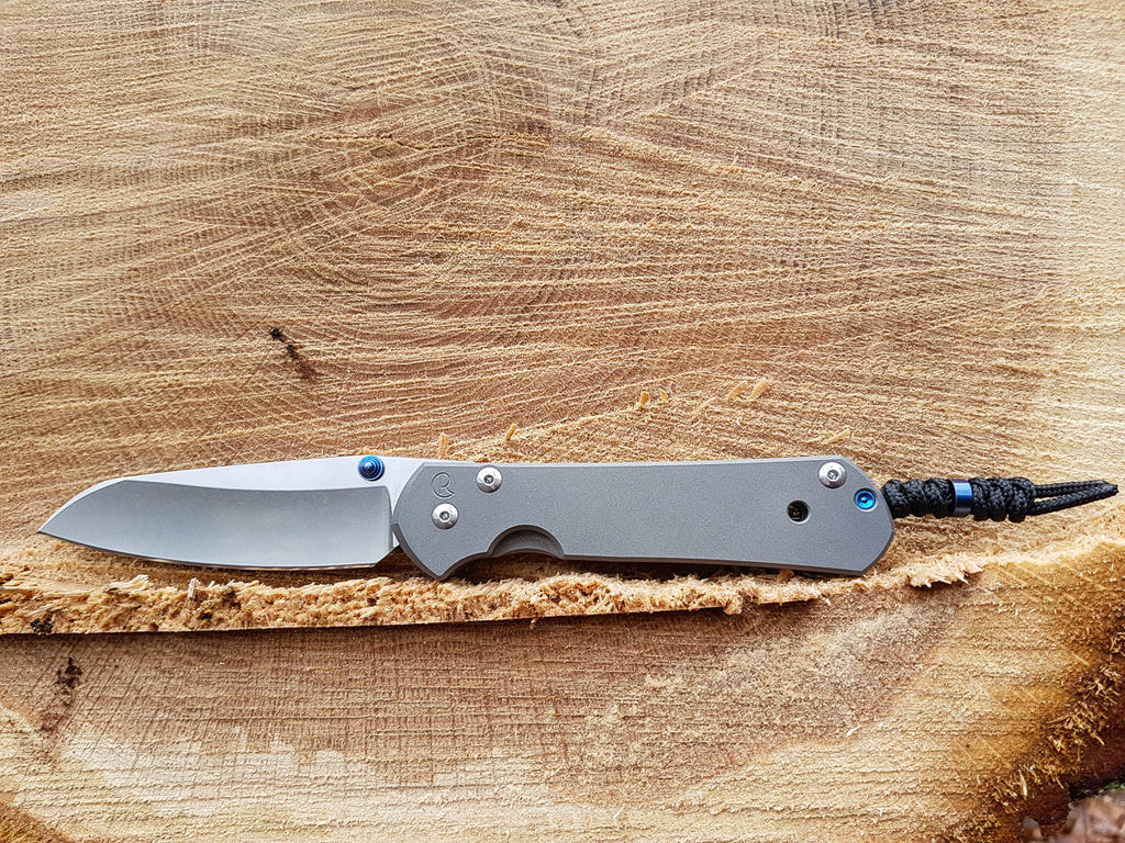 31713210dk.jpg