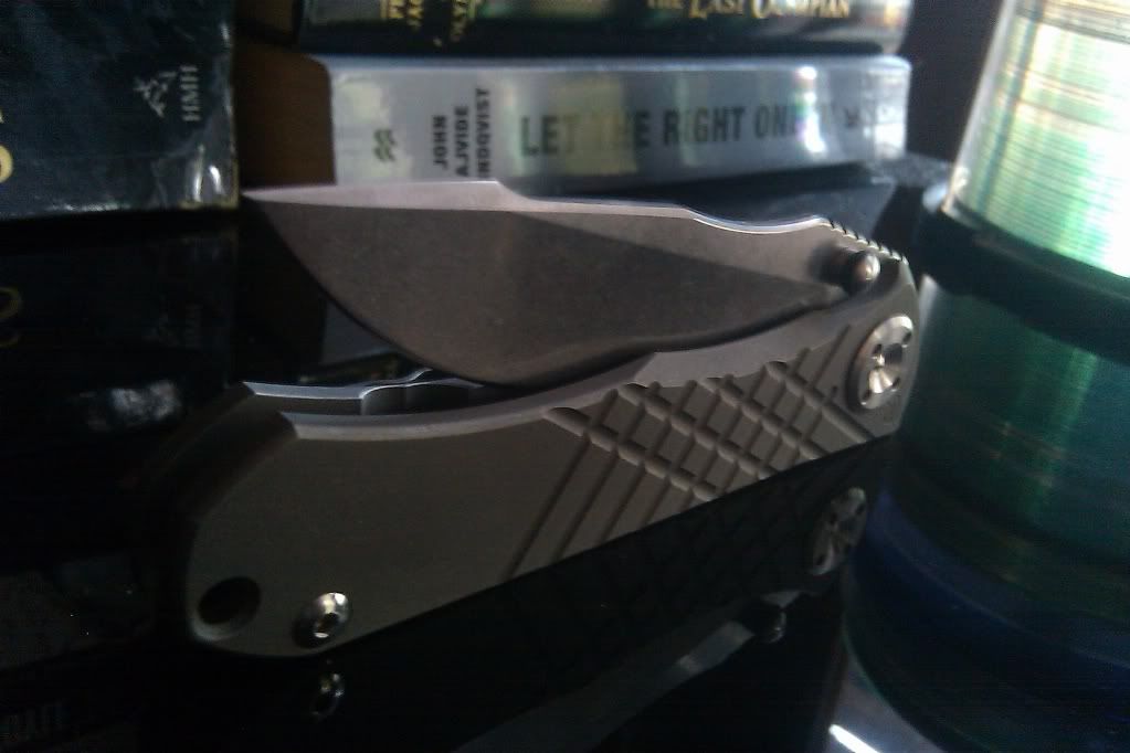 IMAG0305.jpg