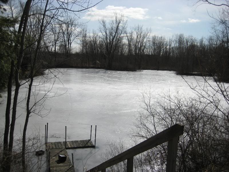 march22009.jpg