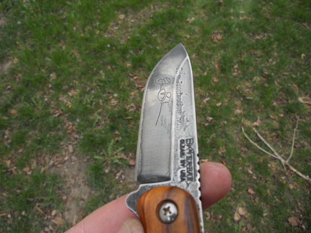 DSCN0133.jpg