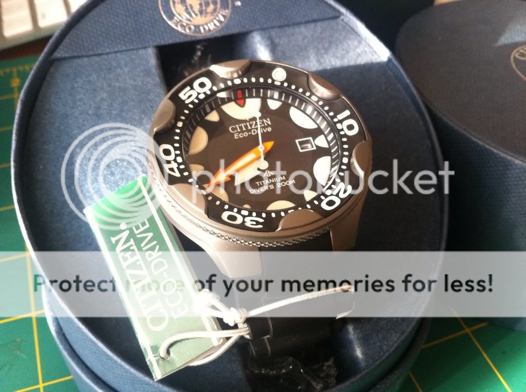 17ea717f.jpg