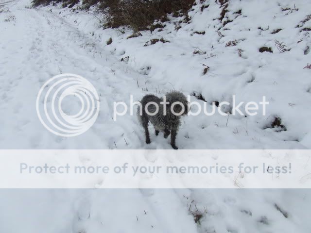 2010_01130006.jpg