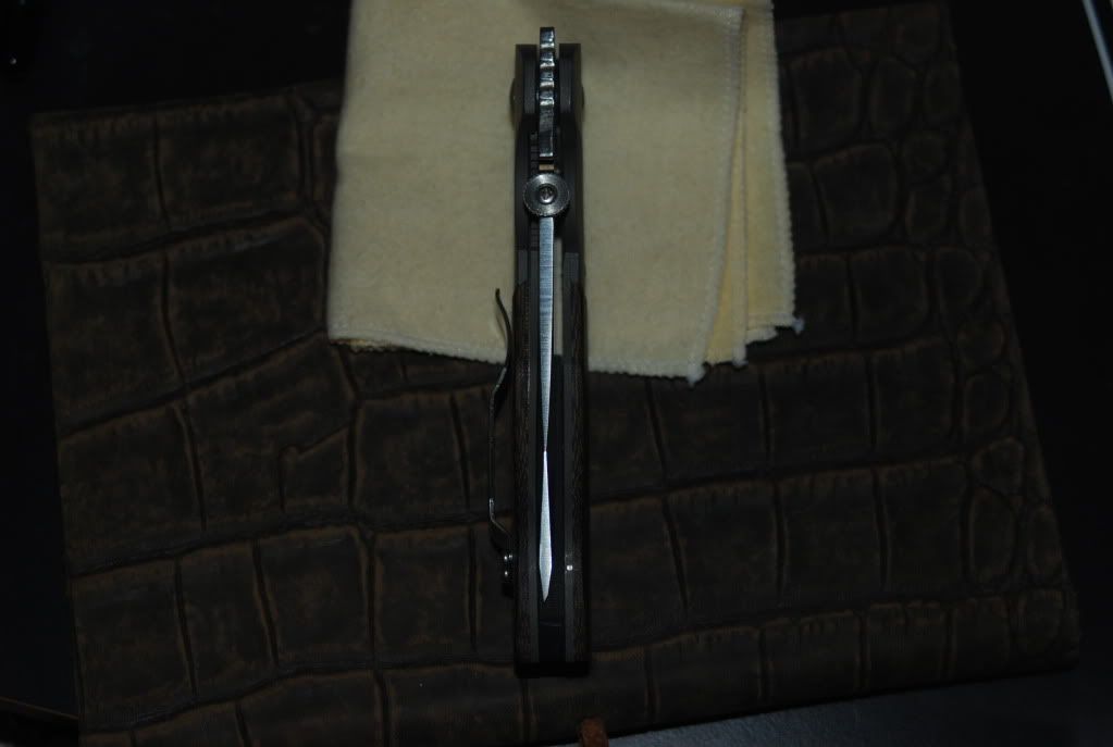 DSC_0358.jpg