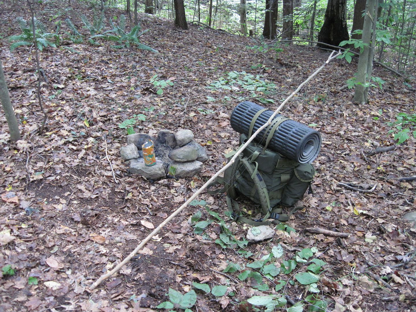 IMG_0571.jpg