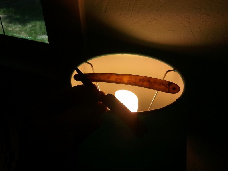 2012-08-15140007.jpg