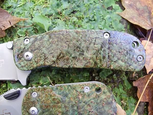 burl3.jpg