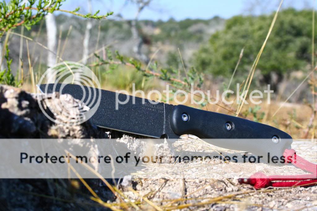 BK16001_zps6ac99227.jpg