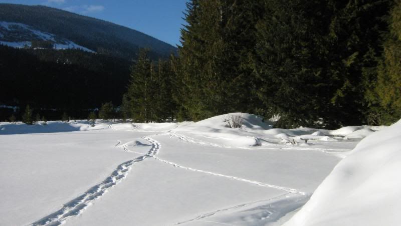 begbiewalk036.jpg