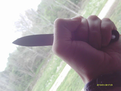 IMAG0681.JPG