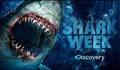 shark-week-discovery-channel.jpg