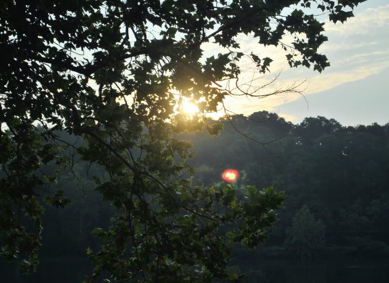 DSC_4423.jpg