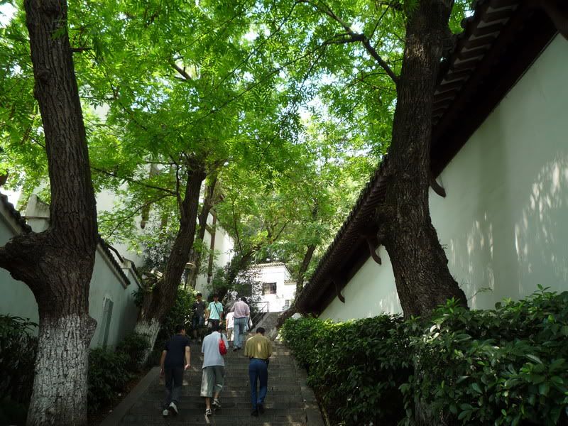 P1010461.jpg
