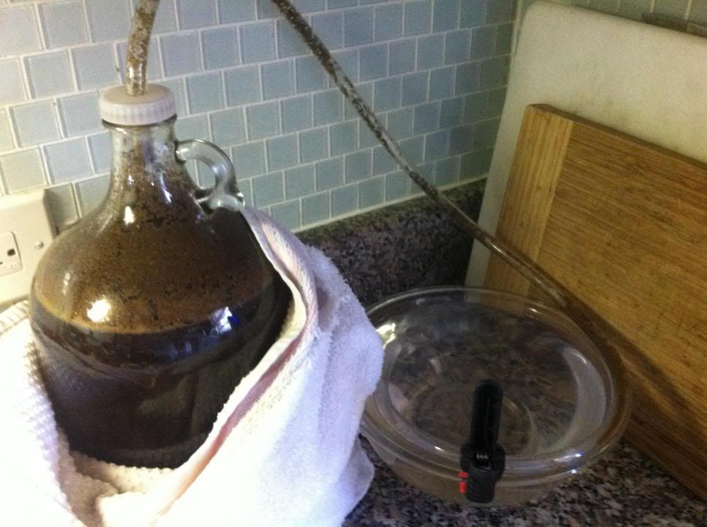 brew2_zpsa7c3ff03.jpg