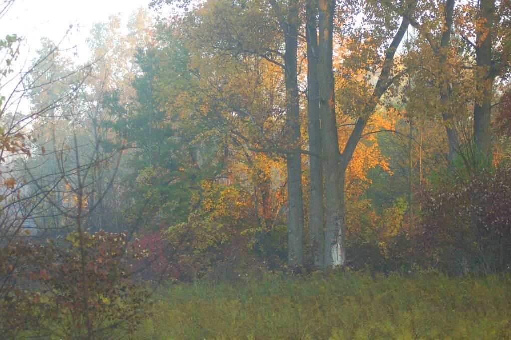 DSC_0049-4.jpg