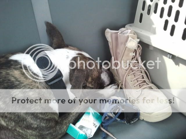 2012-03-25160157.jpg