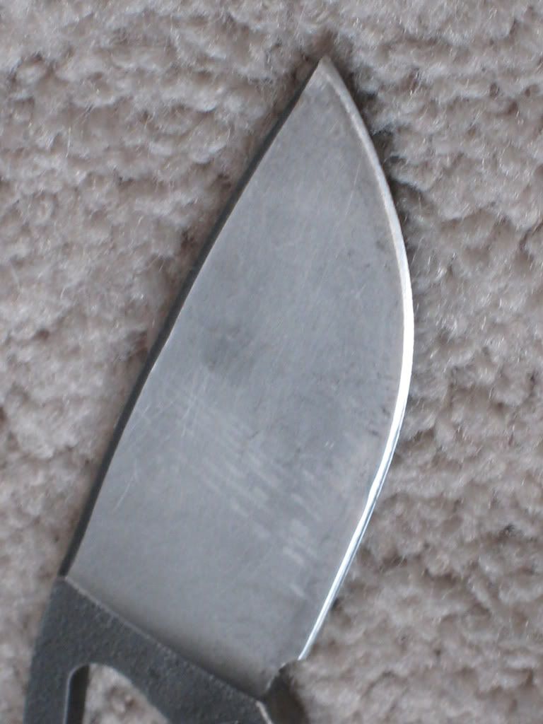 Picture515.jpg