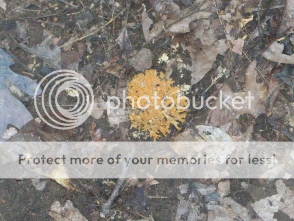 100_5072.jpg