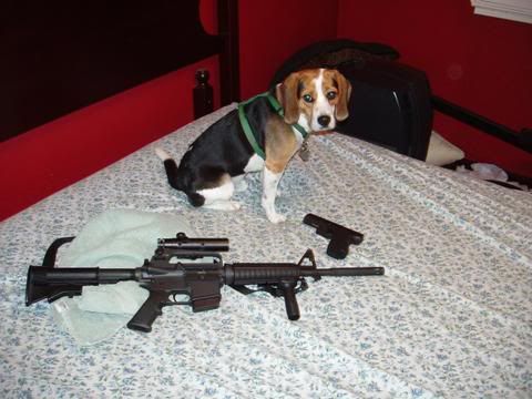 buster.jpg