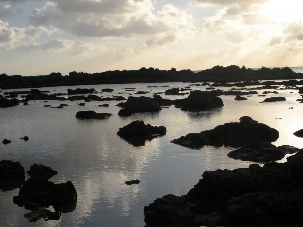 DSCN0188.jpg