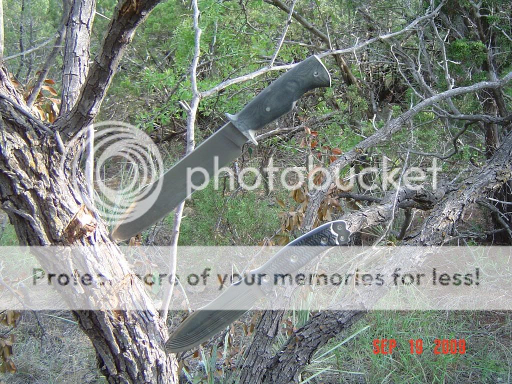 Picture023.jpg