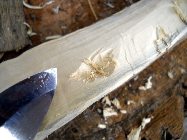 DSCN7165.jpg