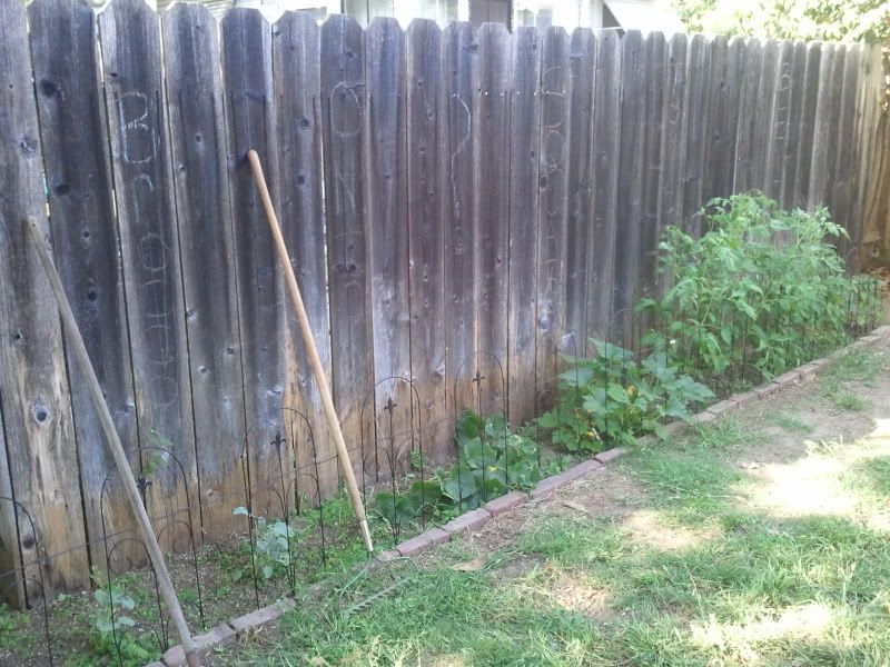 2013-05-14173454_zps06726acd.jpg