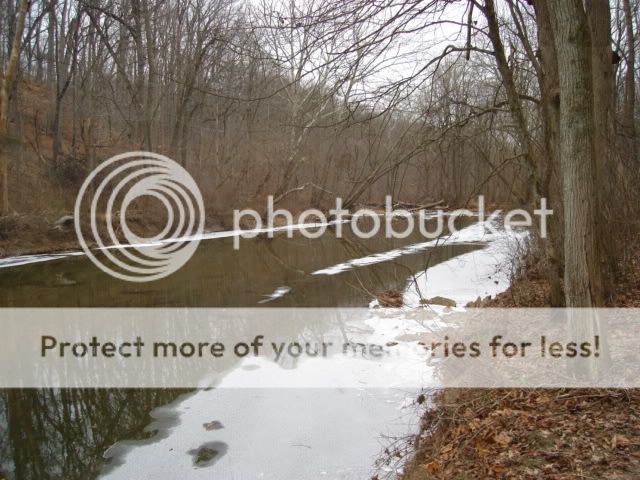 christmas2010027.jpg