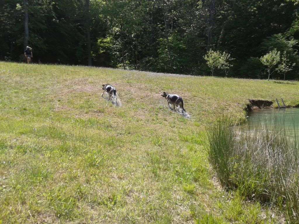 2012-04-29145852.jpg