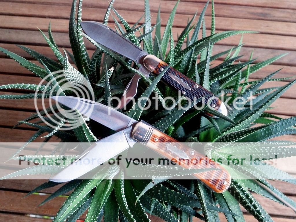 BF_knives_small.jpg