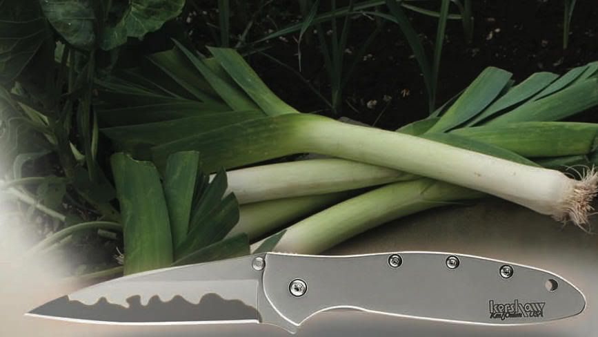 1660CB_CompositeLeek.jpg