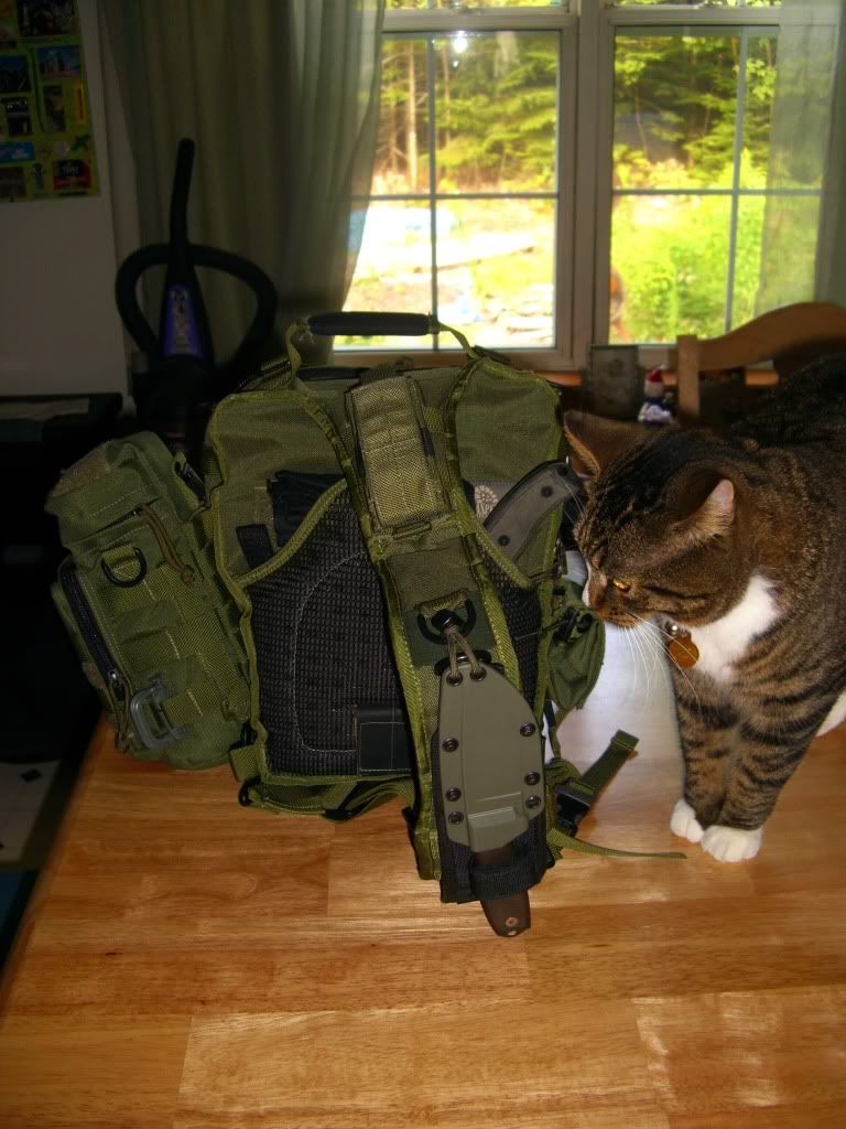 Currentgearsetup007.jpg
