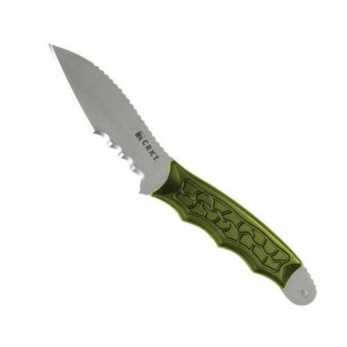 31RAy3cqMXL.jpg