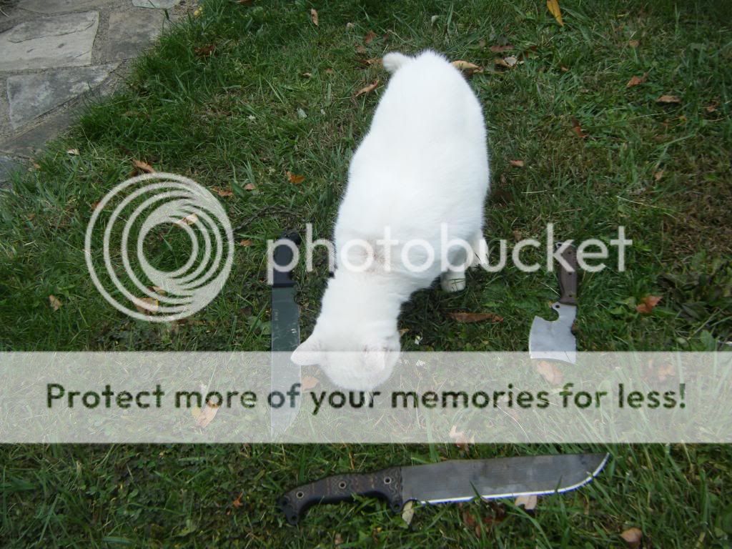 DSCF9482.jpg
