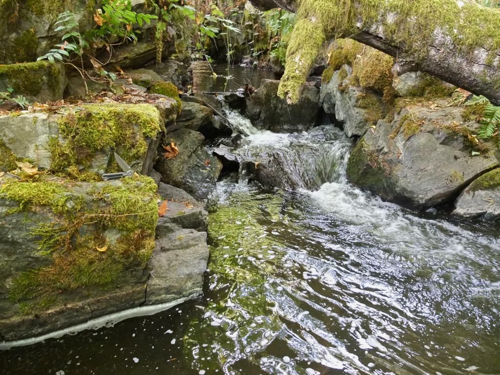 DSCF2271_zps28d5b35a.jpg