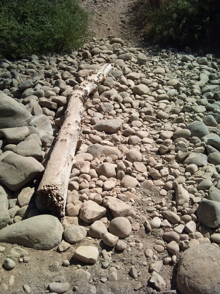 2011-08-09152937.jpg