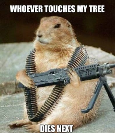 HAHA-Forest-Fighter.jpg