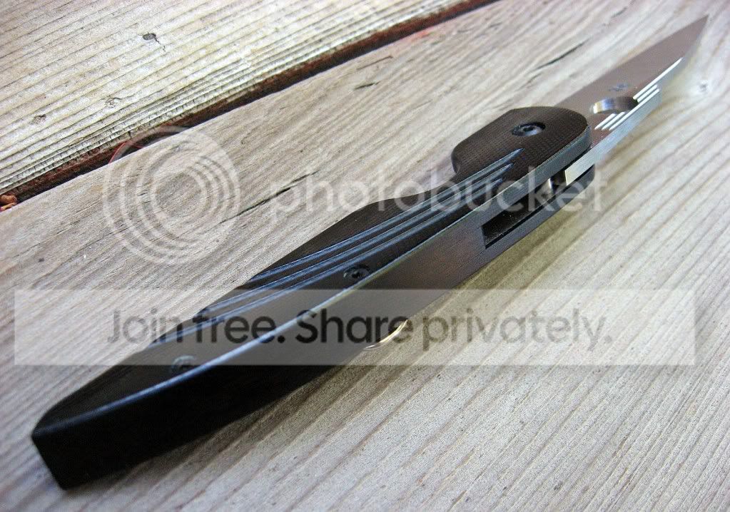 SpydercoDesHorn05.jpg