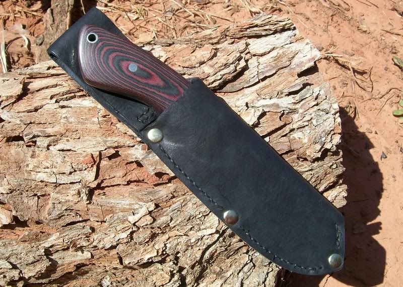 blackredskinner4.jpg