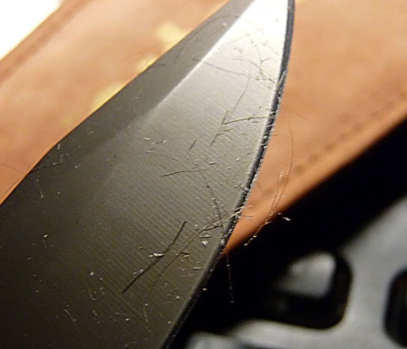 sharp2.jpg