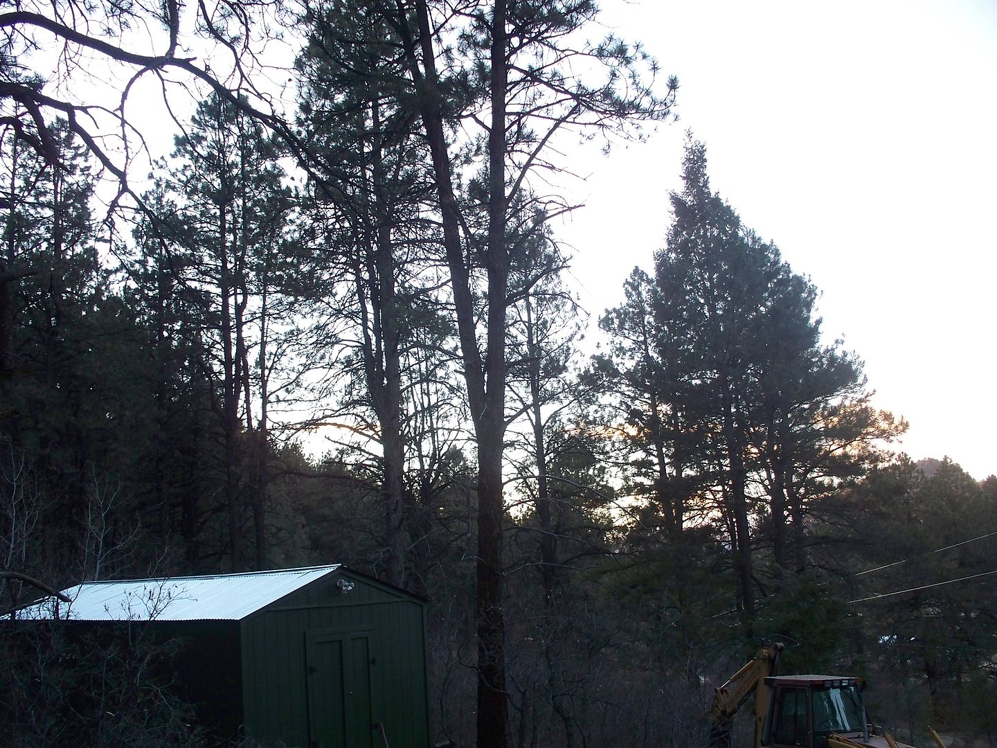 042-10.jpg